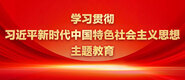 爆操双性小男娘学习贯彻习近平新时代中国特色社会主义思想主题教育_fororder_ad-371X160(2)